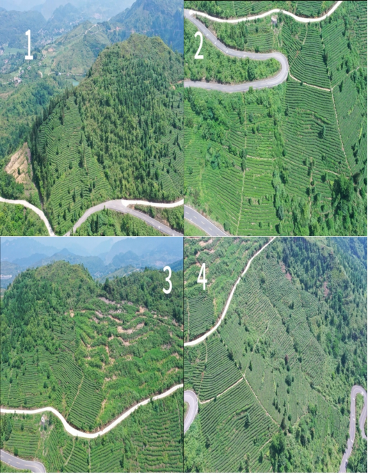 1753780743821177.png image.png