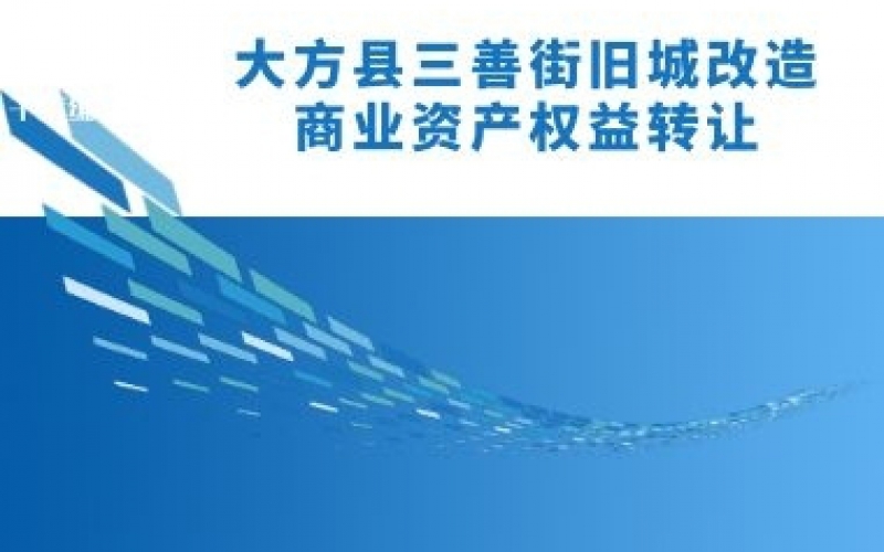 大方縣三善街舊城改造商業(yè)資產權益轉讓