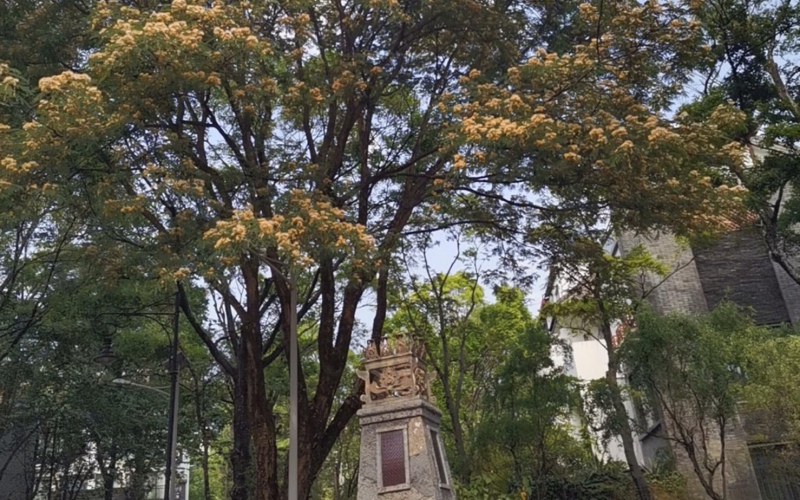 云南省大理山水間二期一組團(tuán)草鷺4-2號(hào)房產(chǎn)轉(zhuǎn)讓(二次掛牌)